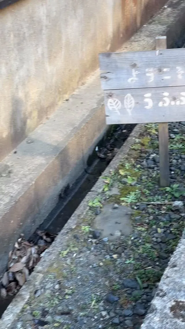 年始からずっと忙しくさせていただいて、